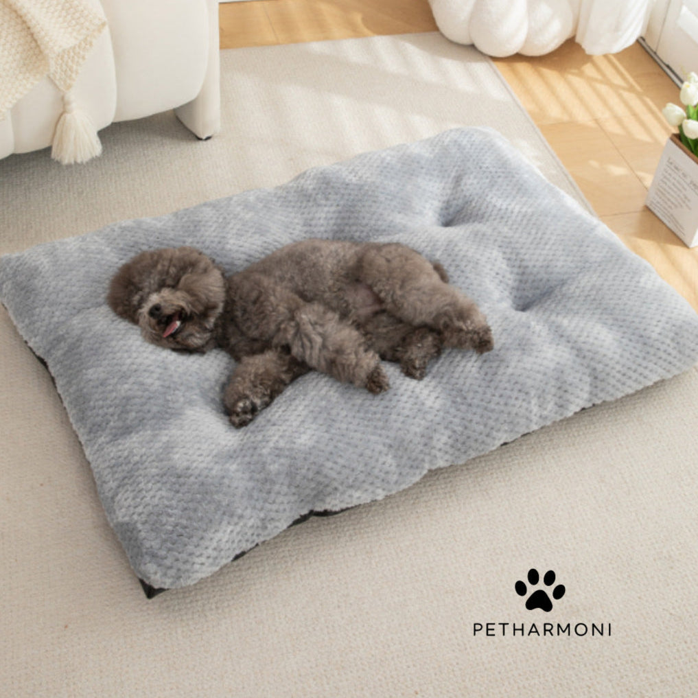 Warm Snug Dog Mat