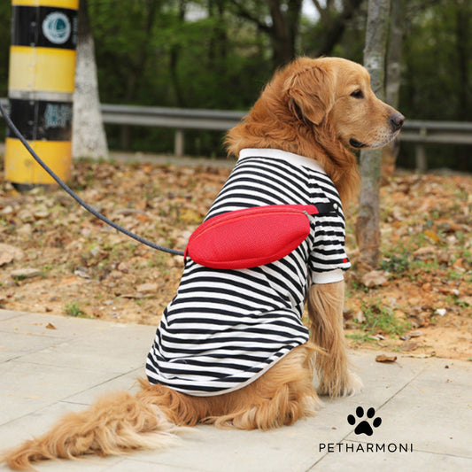 Dog Sweater with fannypack