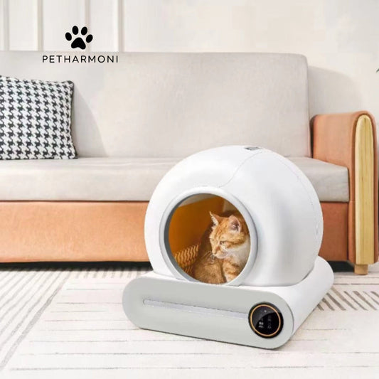 Automatic Cat Litter Box