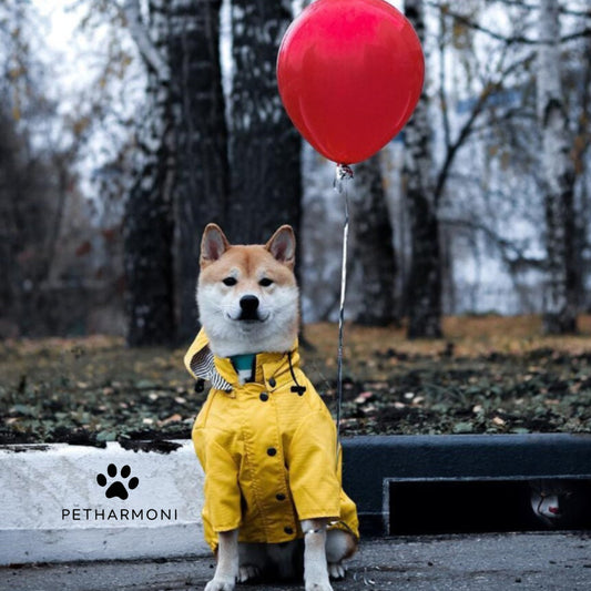 Dog Raincoat
